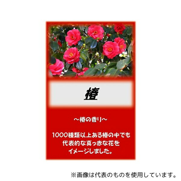 アサヒ商会 アサヒ入浴剤 椿 2.5kg(4)