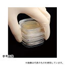 エルメックス SASA-48 スタンプ培地SA 黄色ブドウ球菌検査用