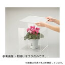 光 KBF-30 アクリルBOX用フタ 300mm用