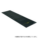 トーエイライト T1813 メジャーマット 3M