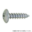 サンコーインダストリー 20-00-0003-0040-0080-05 ニッケル (+)Aトラス 4×8 (1500本入)