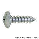 サンコーインダストリー 20-02-0003-0060-0120-00-40P ステン(+)Aトラス 6×12 (40本入)
