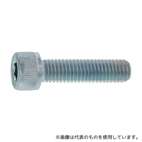 サンコーインダストリー A0-12-0000-0025-0100-00-30 SUS316L CAP(六角穴付きボルト) 2.5×10 (30本入)(4)
