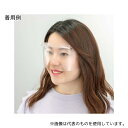 ミノル化学工業 HMアイシールド クリア 10セット (1セット:フレーム1個+替シールド5枚)