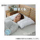 アズワン 1.20E+12 枕 カバー付 約43×63cm