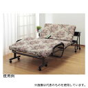ファミリー・ライフ 4032 木製棚付き収納式リクライニングベッド(電動タイプ) ゴブラン柄 コンセント付