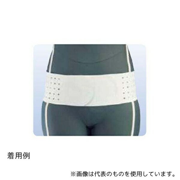 アシスト 146 丸型骨盤バンド ライト L(4)