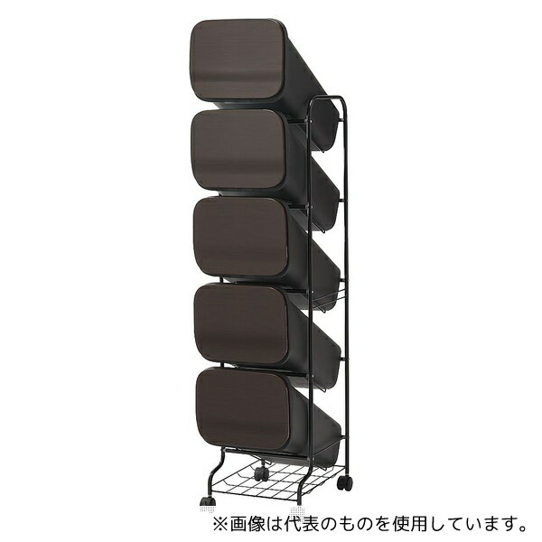 リス スムーススタンドダストボックス 5P WD