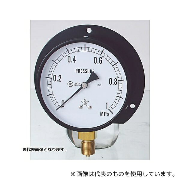 右下精器製造 BMT3/8-100X0.4MPA 一般圧力計(蒸気用)(G421-211-M) 0〜0.4MPa