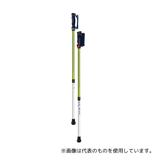 シナノ 650200 抗ウイルスあんしん2本杖 グリーン
