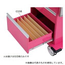ナビス(アズワン) アルティア救急カート用仕切板 大用 横1枚 479×143mm