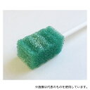 ザイコアインターナショナル デンティップス グリーン重曹付 20本入