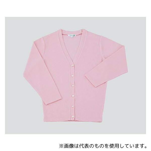 ǥե C-10 󥰥ǥ (Vͥå) ԥ/M