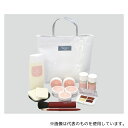 アズワン ID-petit 尊体用メイク剤 200×60×230mm