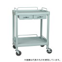 アズワン Y201G プラスチックワゴン2段 引出し2個付き 655×455×825mm