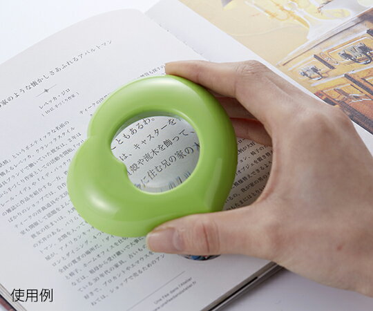 ���ŵ����� �ޥ��ͥå��ե롼�� ���꡼�� ARP-04GN ������1��