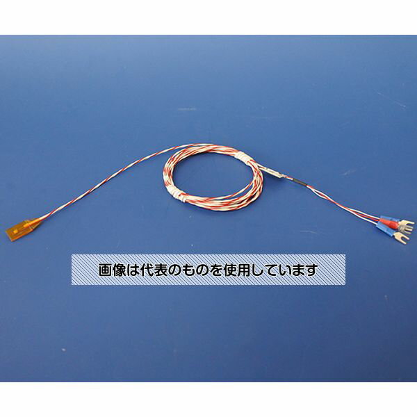 林電工 測温抵抗体 D-RZM-2 1本