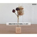 関谷理化 木製 試験管立て キューブタイプ SiTATE121Q 入数:1個