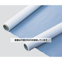アズワン(asone) スカイブドテープ 0.1mm×300mm×10m 0.1-300-10m 1巻