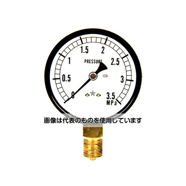 右下精器製造 汎用圧力計A75・G3/8 S-31・3.5MPA 入数：1個