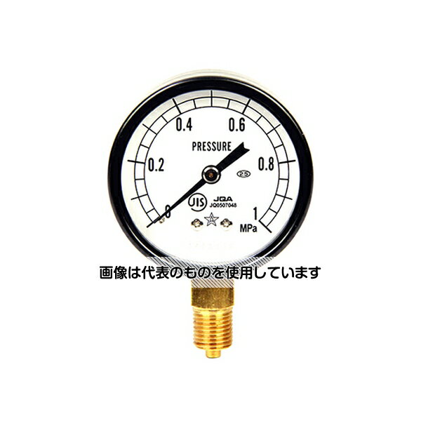 右下精器製造 汎用圧力計A60・G1/4 S-21・1.0MPA 入数：1個