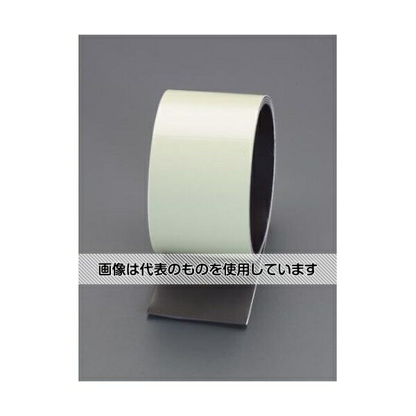 エスコ 50x1000mm 蓄光マグネットシート(高輝度) EA983GB-131 入数：1巻