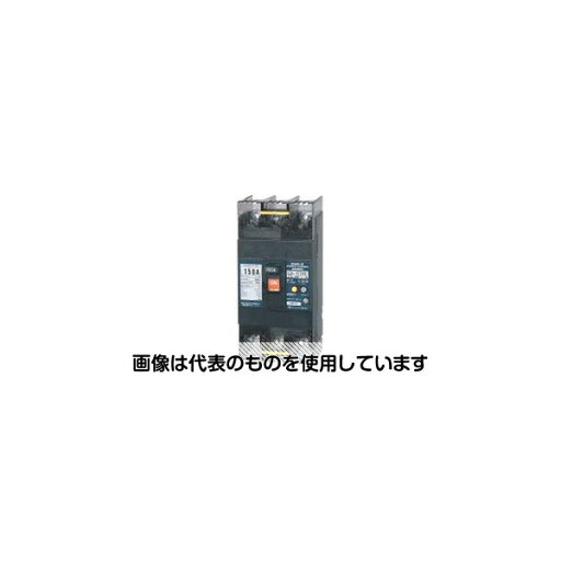 テンパール工業 漏電遮断器 GB-153EC 150A 30MA 200-415V 入数:1個 テンパール工業 漏電遮断器 GB-153EC 150A 30MA 200-415V 入数:1個