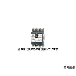 テンパール工業 中性線欠相保護付 漏電遮断器 GBU-53・1EC 50A 30MA 入数：1個