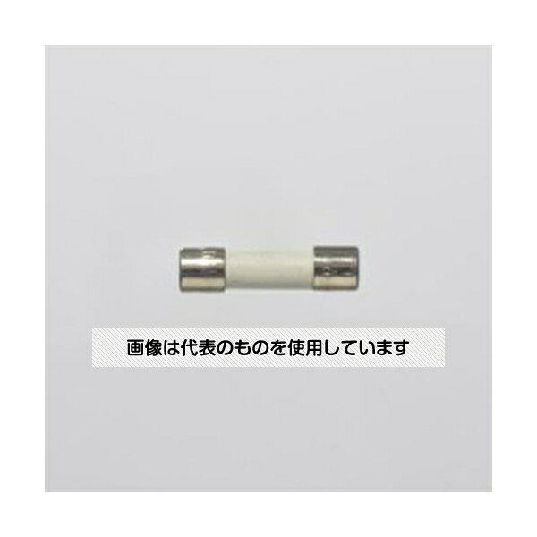 アズワン(AS ONE) [EA707G-23A用] 替ヒューズ EA707DB-20 入数：1個
