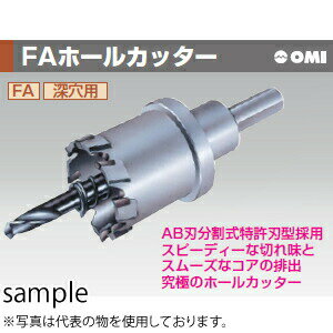 OMI(�������ॢ��) FA22 ��22mm FA�ۡ��륫�å��� ������
