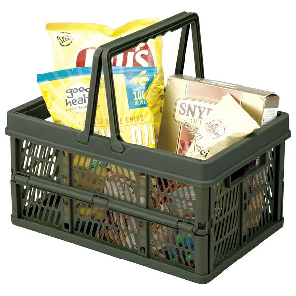 東谷 おしゃれなカラーが映える フォールディングバスケット LFS-31GR