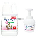 江部松商事 ライオン キレイキレイ 薬用泡ハンドソープ 2L 専用ポンプ付 No.1065610