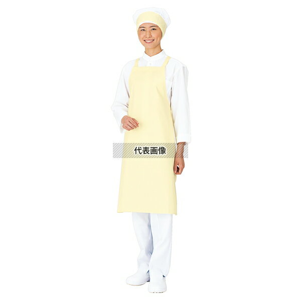 �拾�� ����ȥ�ɥ饤���ץ��� �������ݤ� E-1004-0T �ۥ磻�� 900��650 ��˥ե����� No.1167400