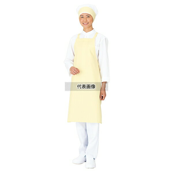 �拾�� ����ȥ�ɥ饤���ץ��� �������ݤ� E-1004-1T �֥롼 900��650 ��˥ե����� No.1167700