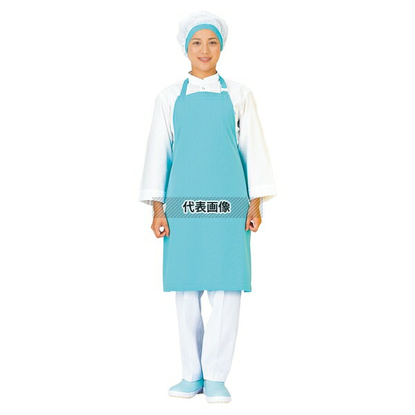 ワコウ アイメッシュエプロン 首掛タイプ E5200-33 レモンイエロー フリー(着丈83cm・身幅70cm) ユニフ..