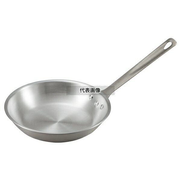 EBM(������) ����� �ץ������������ �ե饤�ѥ� 33cm ��345(���ޤޤ�) �ե饤�ѥ� No.3922300