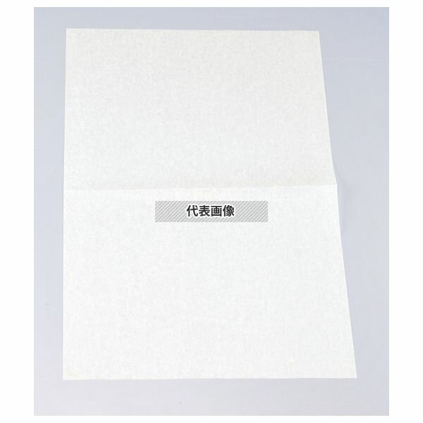 ������ ���� �����ȳ� ��ʥ� (1000����) RS-001 300��390 ��˼������ No.4674060