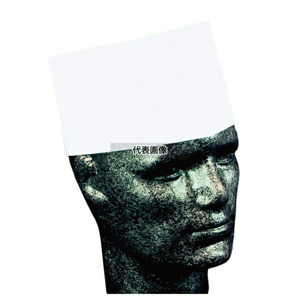 Pal 使い捨て 和帽子 (50枚入) 24110 100 帽子 No.6048400