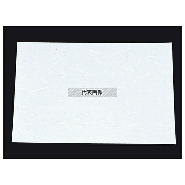 �ܻ� ���Хޥå� ���ݱ����»� (100����) WSA-02 ̵�� (�����륷������) 264��390 ����������� No.6423000