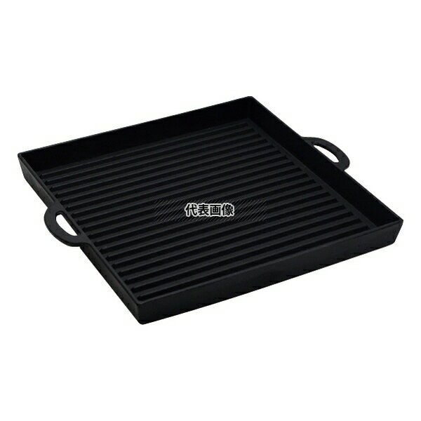 ������ Ŵ �ѷ������ץ졼�� �� H-250 290��250��30 No.7329200