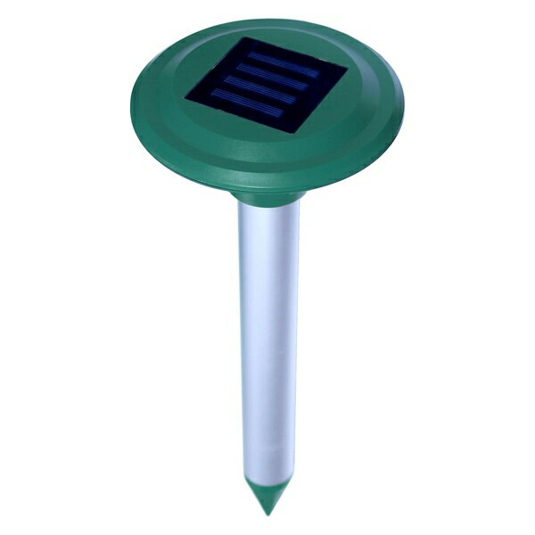 ��ë �����顼Ķ���ȥ⥰������NEO SK-0756