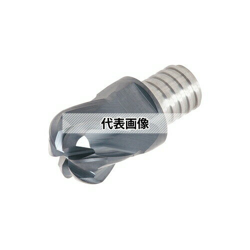 タンガロイ ソリッドエンドミル VRD-06 VRD160L09.0R50-06S10:AH725×2セット