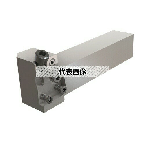 ���󥬥��� �ⰵ���������б��֥졼���ѥ���� CHSR/L-CHP CHSR2020-CHP