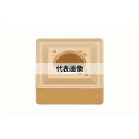タンガロイ 旋削用 M級ネガインサート SNMG SNMG120404:TH10×10セット