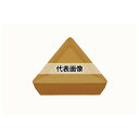 タンガロイ 旋削用 M級ポジインサート TPMR-23 TPMR110308-23:TH10×10セット