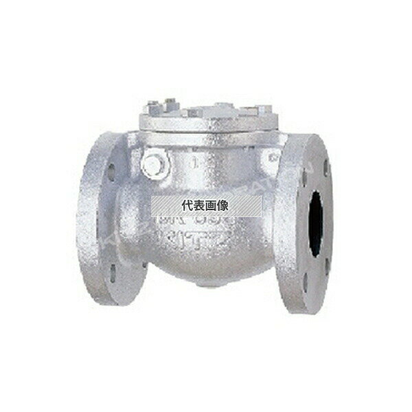 キッツ(KITZ) 鋳鉄製JIS規格スイングチャッキ(10FCO) 10FCO 65A