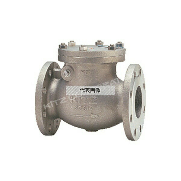 キッツ(KITZ) スイングチャッキ(10UOAO) 10UOAO 300A[法人限定][送料別途お見積り]