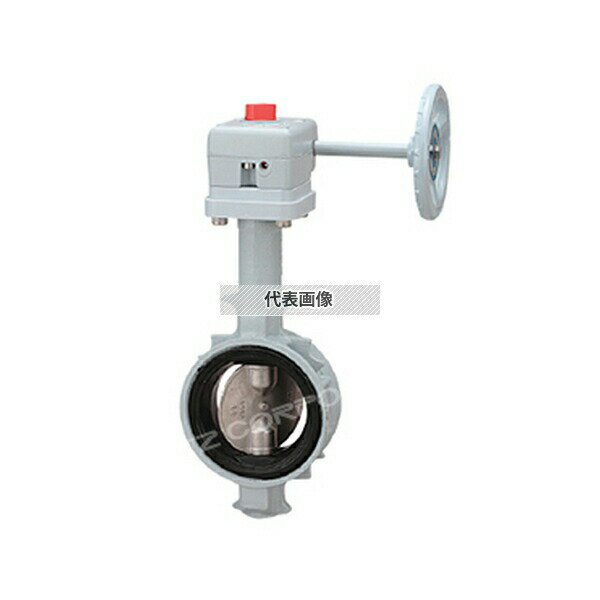 キッツ(KITZ) ダクタイル鉄製DJシリーズ(結露防止)(G-16DJKUE) G-16DJKUE 100A