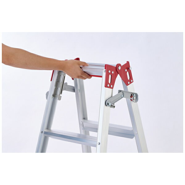 Ĺë��� ����������ѵ�Ω �������̼�(�����㥹����) RYZ-24d [ˡ�͸���][�������Ӥ����Ѥ�]