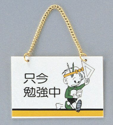 光 サイン 100mm×150mm×2mm アクリルマット 片面鎖付(CM1510-5)
